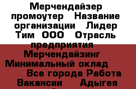 Мерчендайзер-промоутер › Название организации ­ Лидер Тим, ООО › Отрасль предприятия ­ Мерчендайзинг › Минимальный оклад ­ 27 000 - Все города Работа » Вакансии   . Адыгея респ.,Адыгейск г.